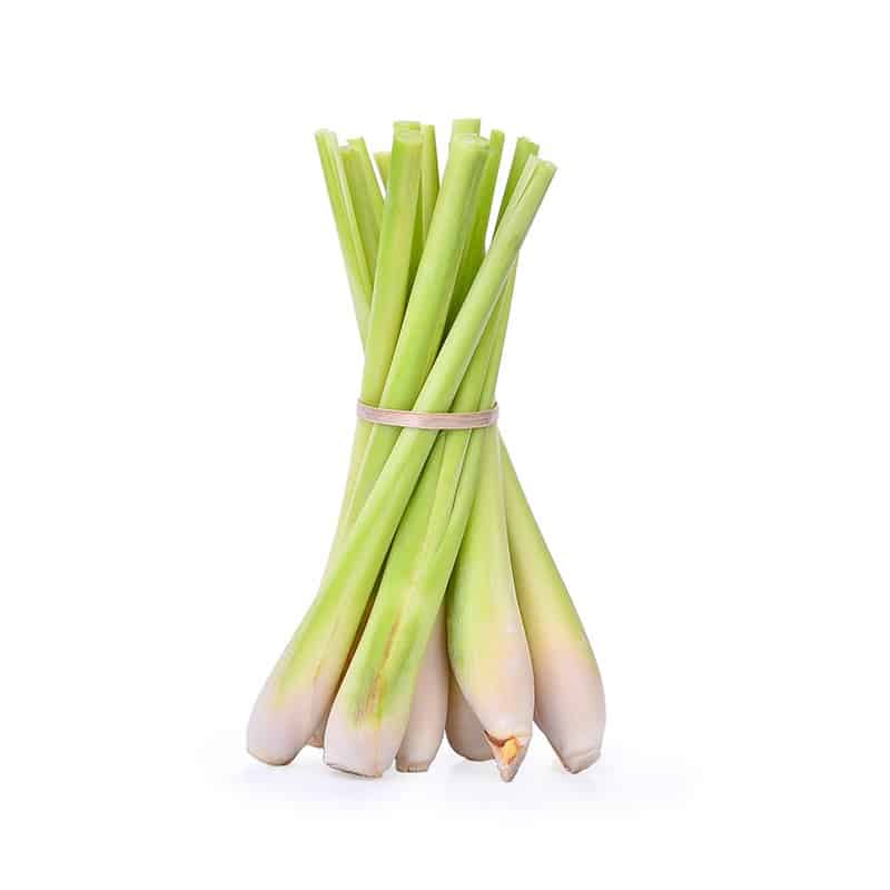 Citronnelle - Parfum pour bougies Citronnelle - Parfum pour bougies