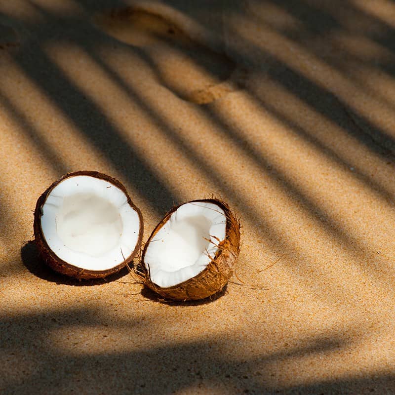 Noix de coco - Parfum pour bougies Noix de coco - Parfum pour bougies
