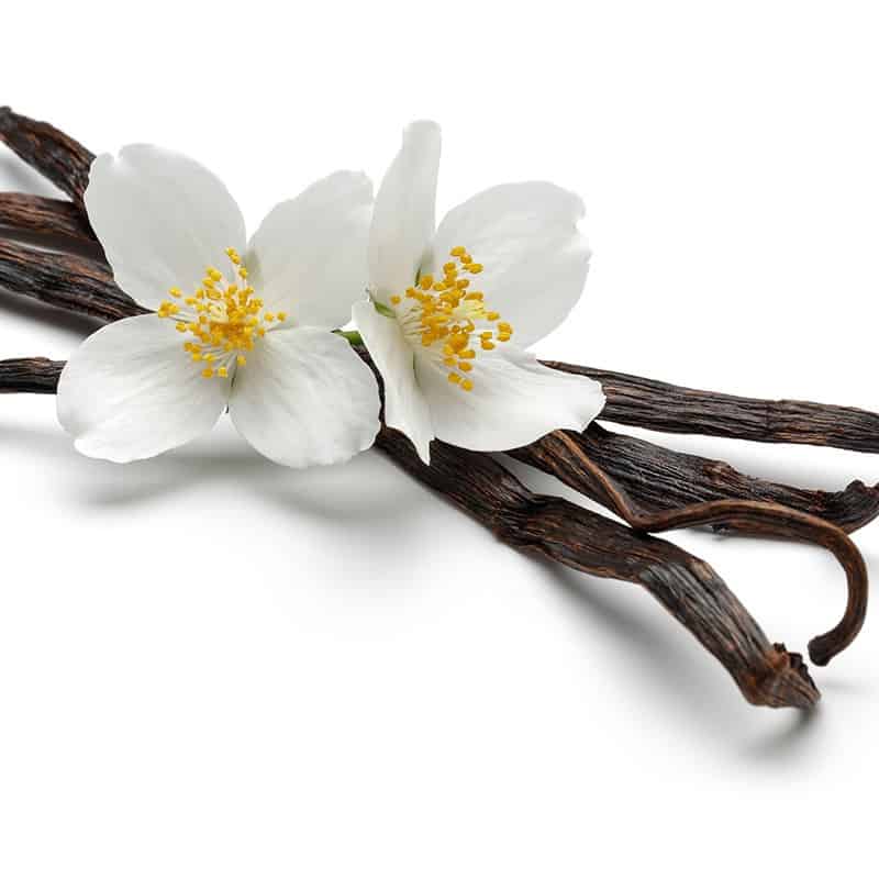 Vanille - Parfum pour bougies Vanille - Parfum pour bougies